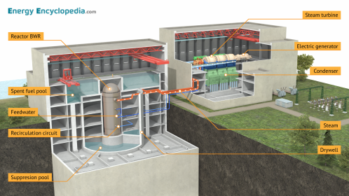 Labelled diagram of a BWR nuclear power plant