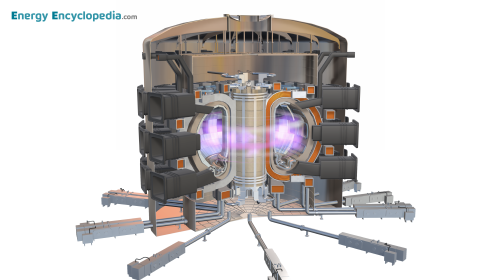 Tokamak fusion reactor
