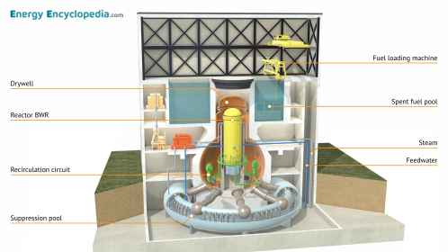 BWR Mark I containment system (labelled)