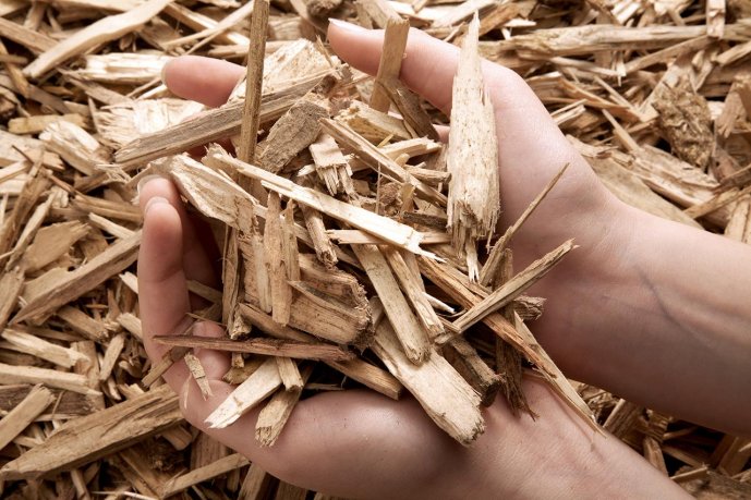 Wood chips. (Source: © Juergen Wiesler / stock.adobe.com)